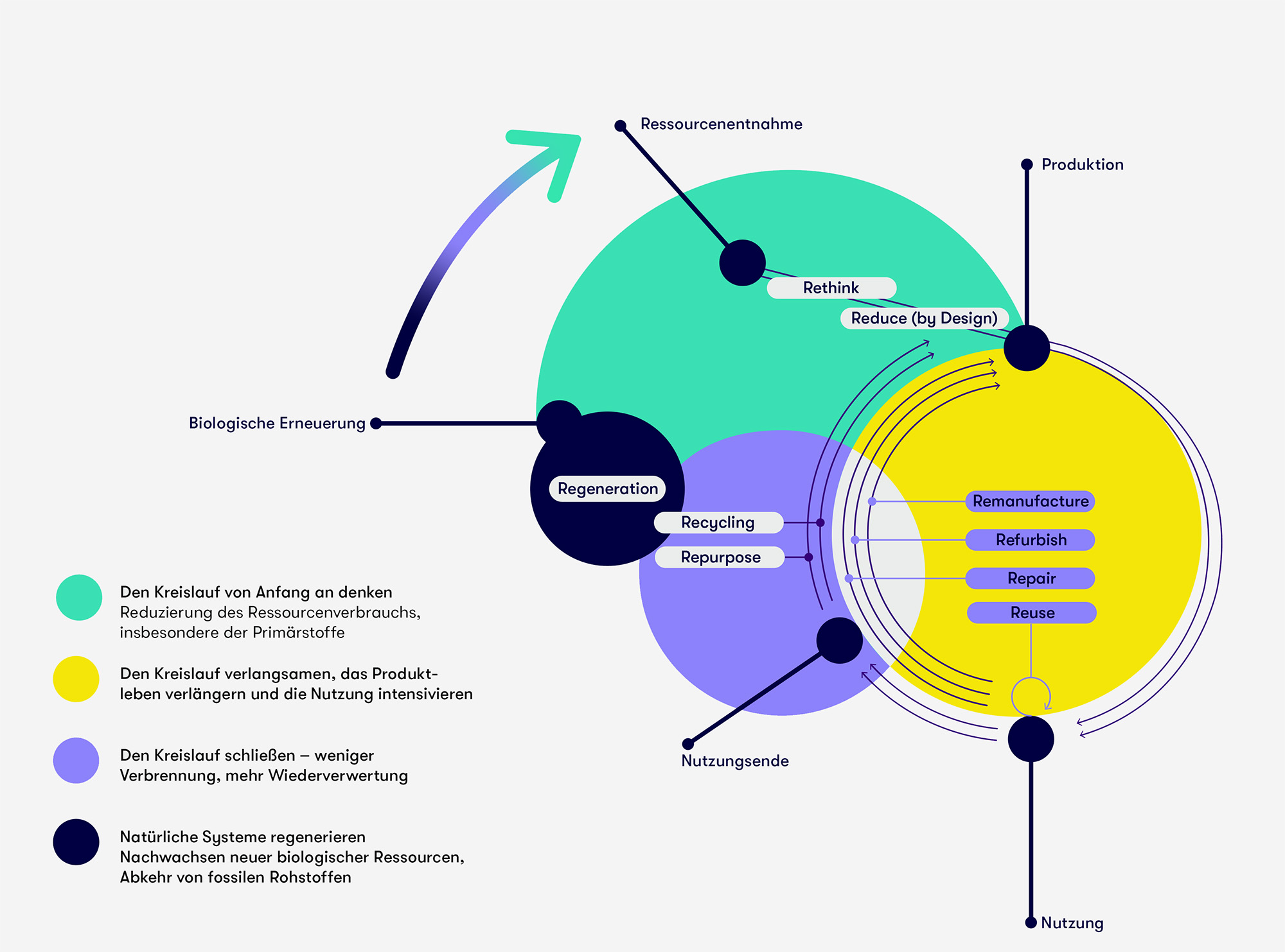 R-Strategien-Webseite
